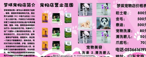 爱宠专属 一站式宠物服务，让您的宝贝乐享健康生活