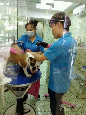 瑞鹏宠物医院（东晓南分院） 专业宠物服务与温馨关怀的家园