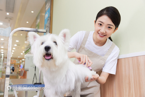 专业宠物美容 女性技师如何安全地为宠物狗修剪指甲