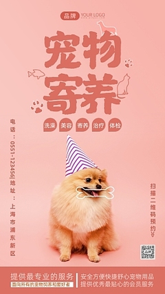 宠物摄影 为爱宠留住美好瞬间的专业服务