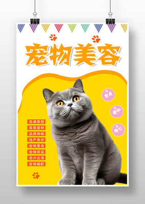 专业宠物服务 宠爱无限——限时促销火热开启