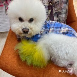 2021年6月18日 候睦宠物美容服务部信息查询指南（基于360地图）