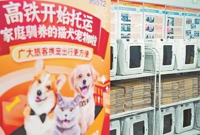 铁路部门试点高铁宠物托运服务 开启宠物出行新篇章